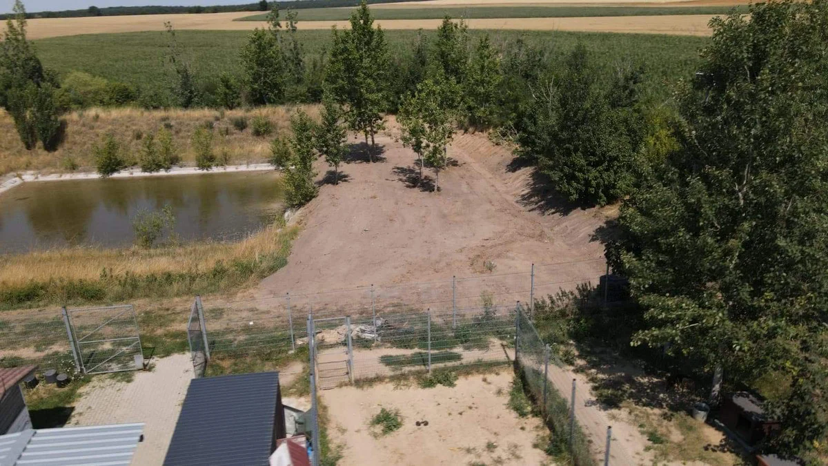 Wybieg dla psów w schronisku w Dalabuszkach - plany