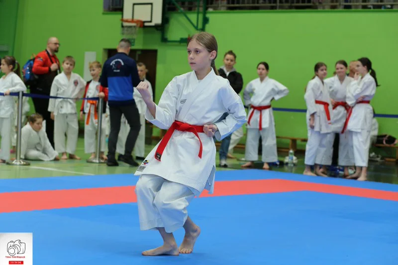 Kobylin. Turniej Karate o Puchar Burmistrza