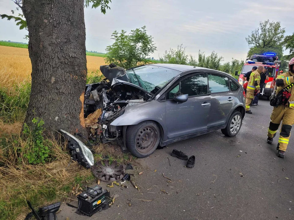 Mieszkanka pow. gostyńskiego uderzyła w drzewo w gm. Kobylin