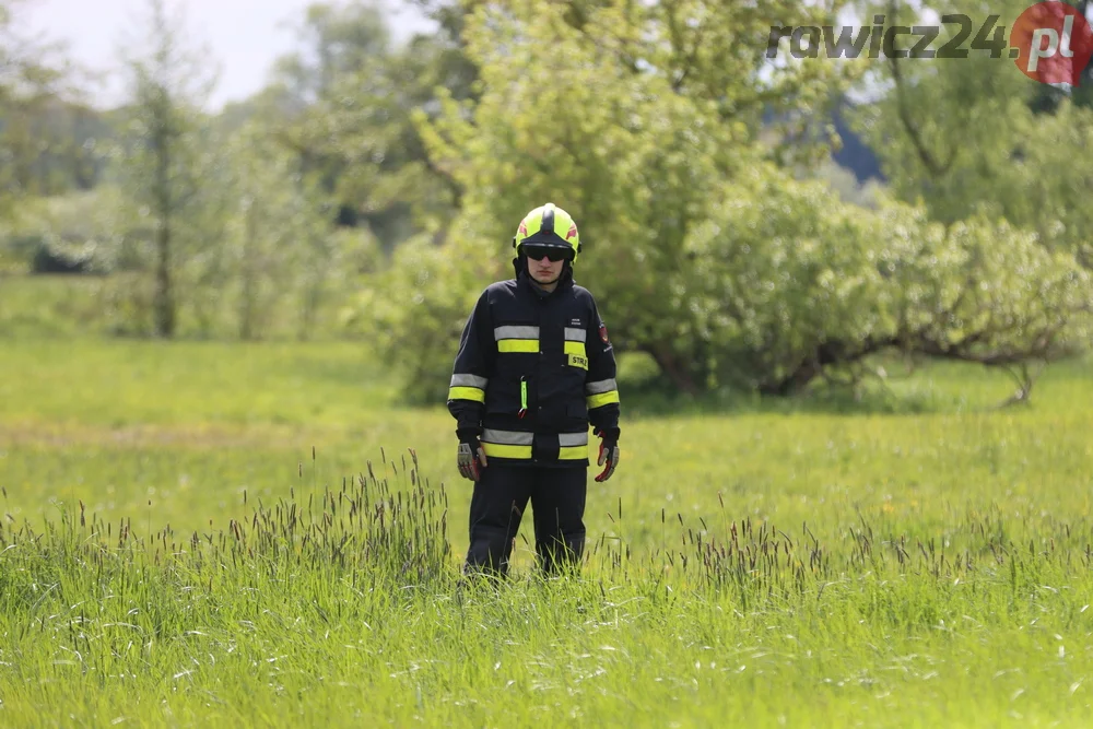 Pożar w lesie pomiędzy Zieloną Wsią a Dębnem Polskim