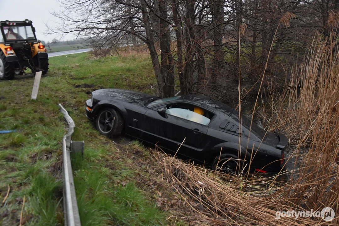 Mustang wpadł do stawu. Straż pożarna z Gostynia w akcji