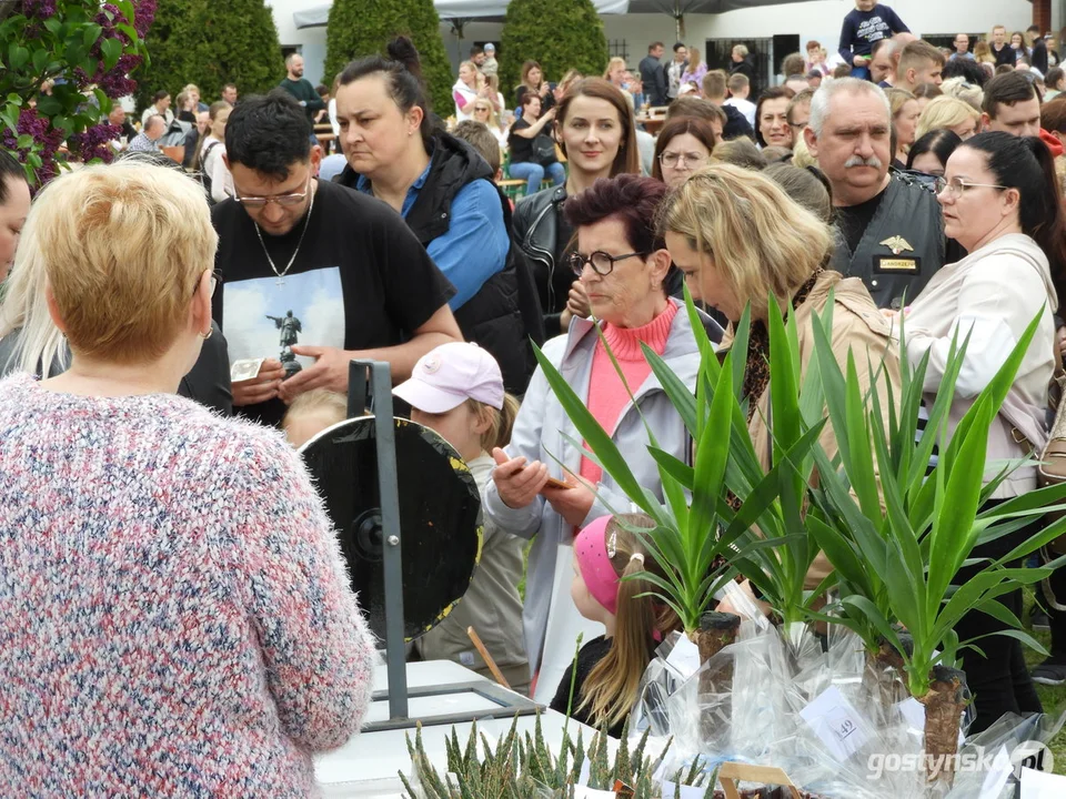 Piknik "Rodzinna Majówka" w Bodzewie