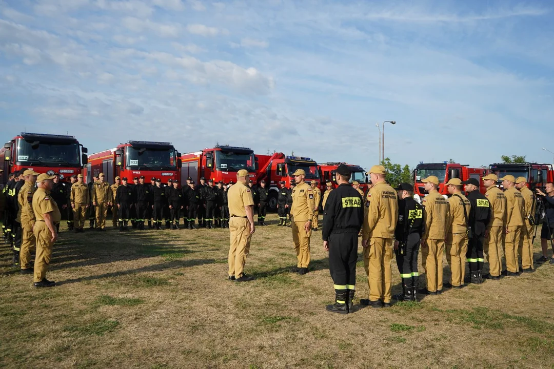 Strażacy z Wielkopolski wyjechali gasić pożary lasów w Grecji