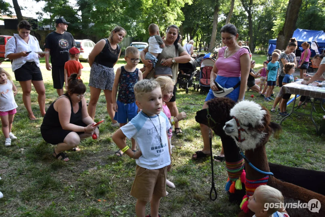 Rodzinny piknik w Pogorzeli - z alpakami i kamykami