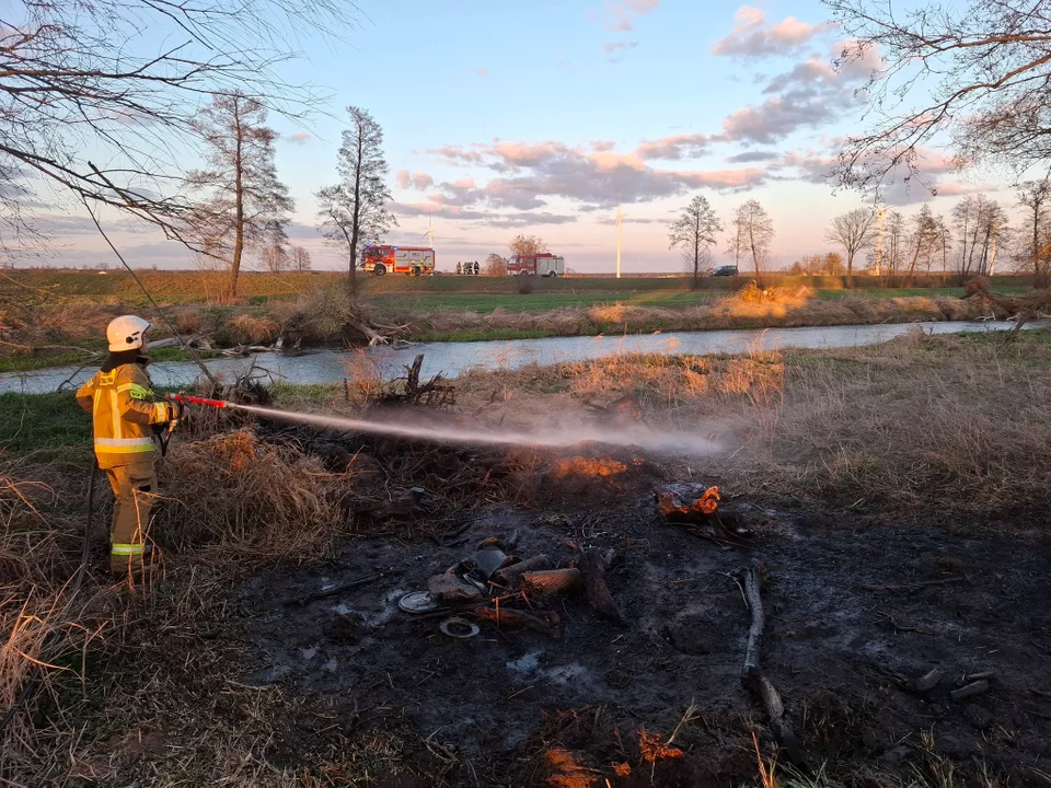 Pożar na granicy powiatów. Strażacy działali nad Prosną