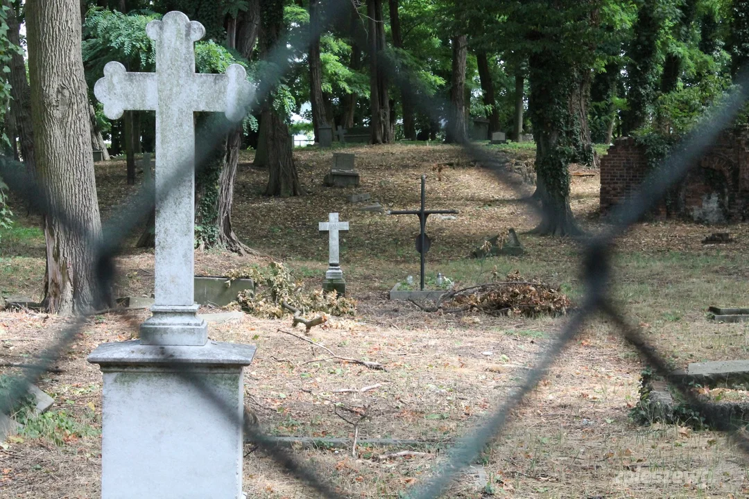 Czy cmentarz ewangelicki w Pleszewie może zostać otwarty? - Zdjęcie główne