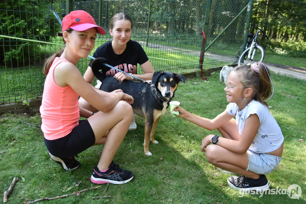 7 urodziny Parkrun Gostyń