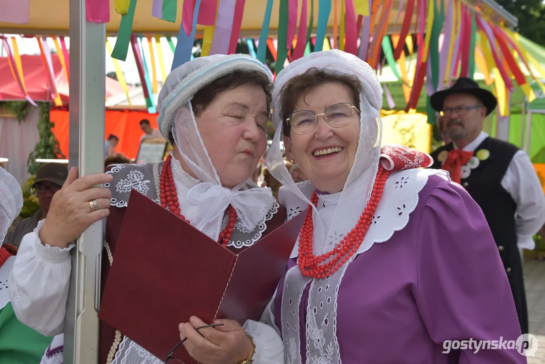 18. Prezentacje Zespołów Ludowych Wielkopolski w Borku Wlkp.