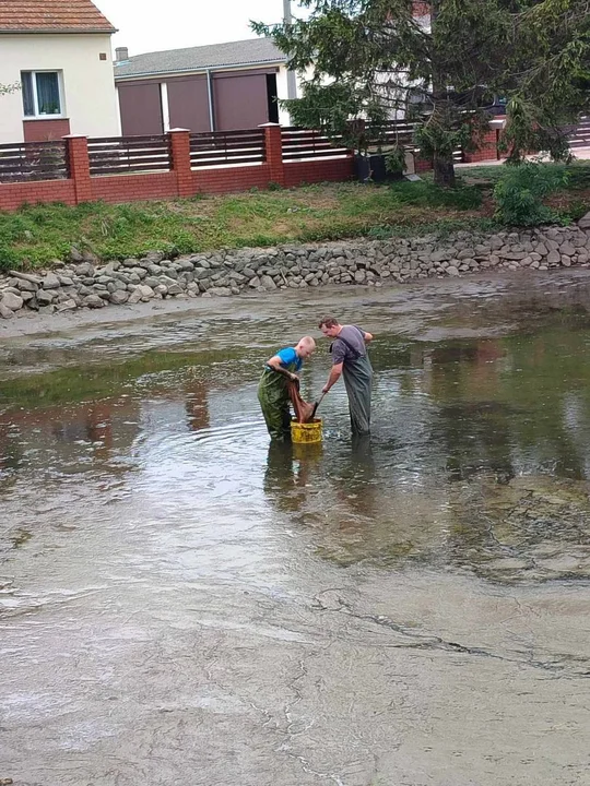 Rewitalizacja stawów w Strzelcach Wielkich i Strzelcach Małych