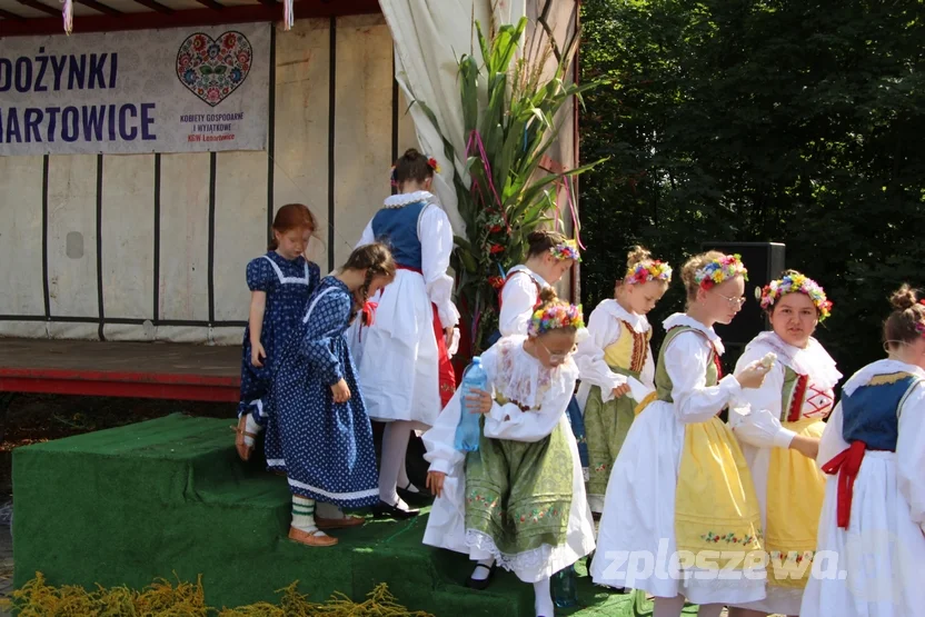 Kolorowe dożynki w Lenartowicach