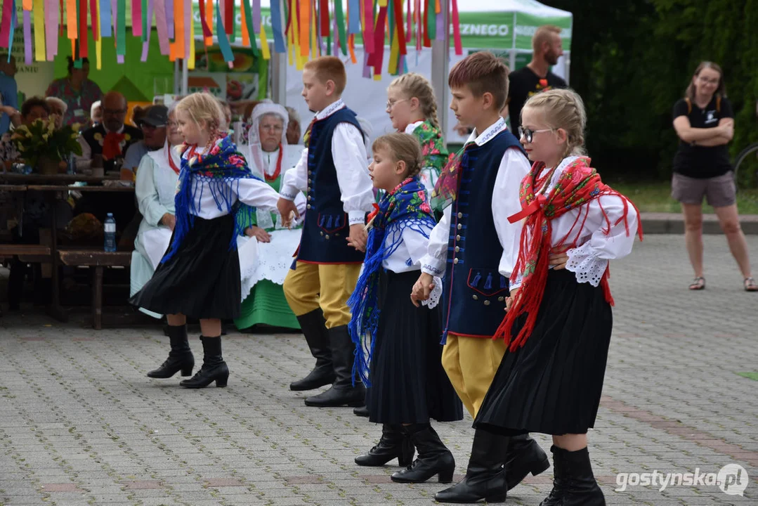 18. Prezentacje Zespołów Ludowych Wielkopolski w Borku Wlkp.