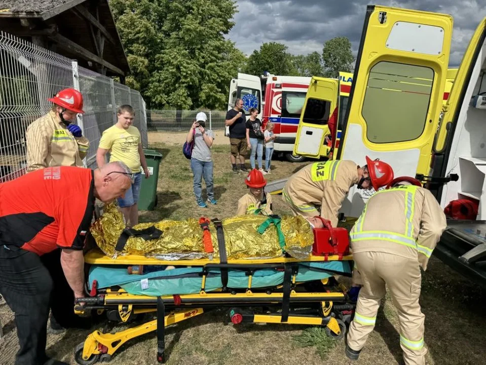 Festiwal Zdrowia w Jarocinie. Finał Akcji Wesołych Ogrodników