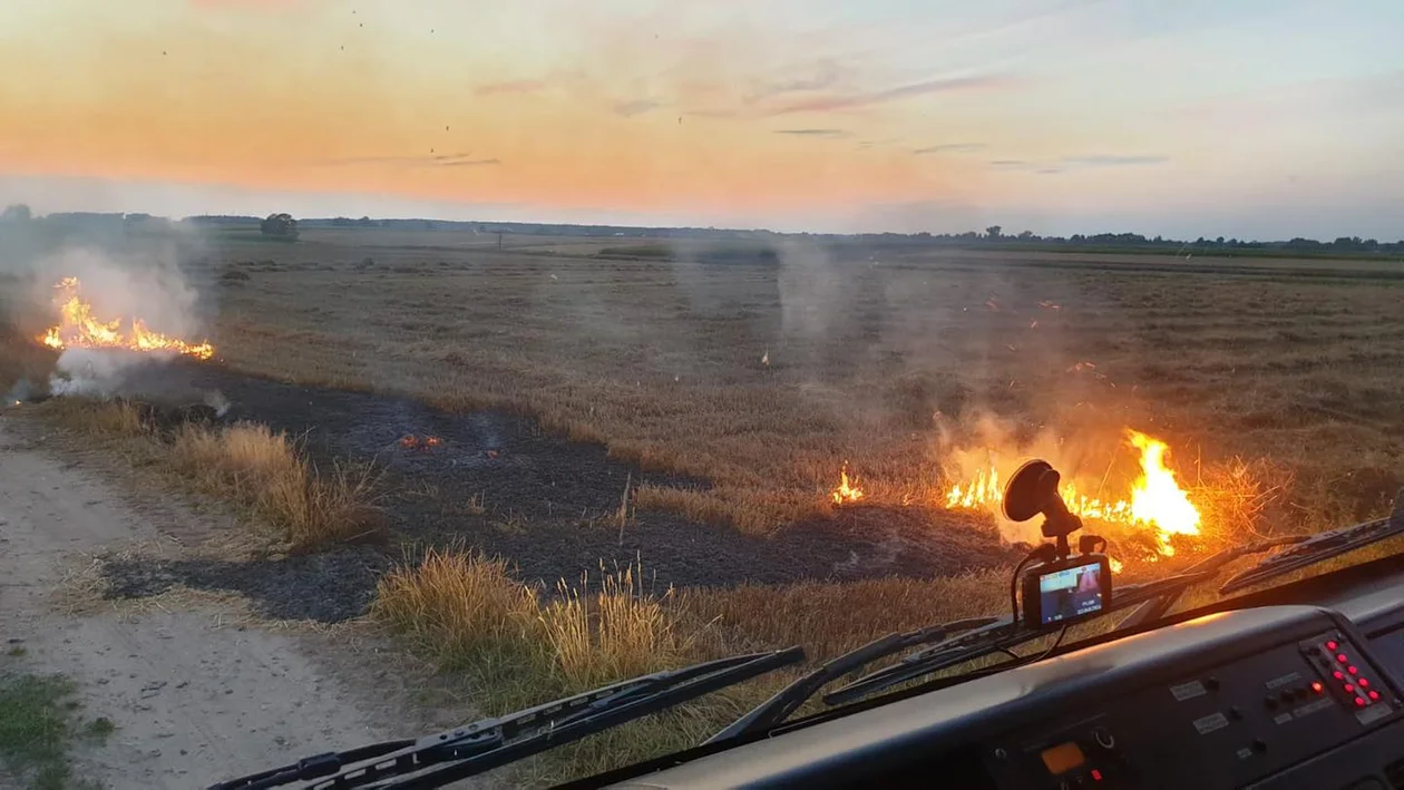 Zapaliło się ściernisko na trasie Chocz - Stara Kaźmierka [ZDJĘCIA] - Zdjęcie główne