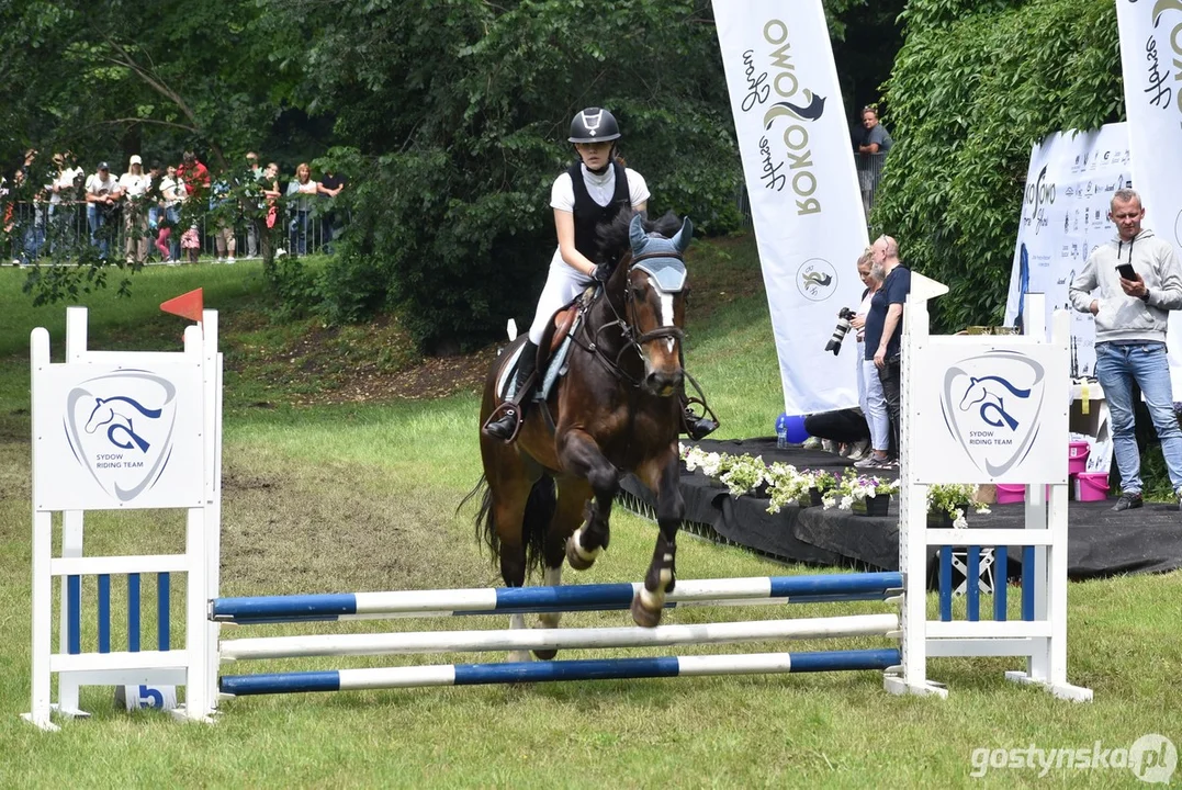 Rokosowo Horse Show - dzień drugi