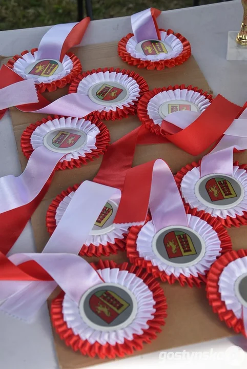 Zawody konne w powożeniu w Pępowie 2025