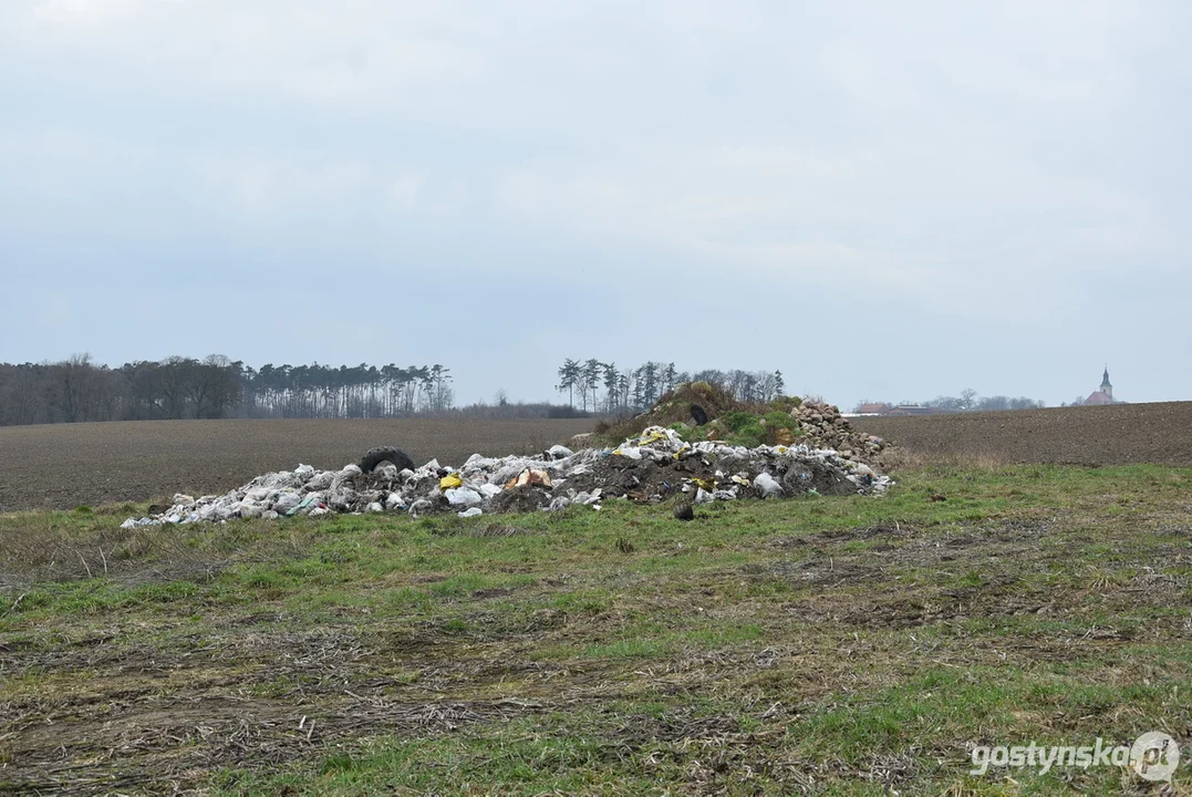 Ogromna hałda śmieci na polu w Żytowiecku