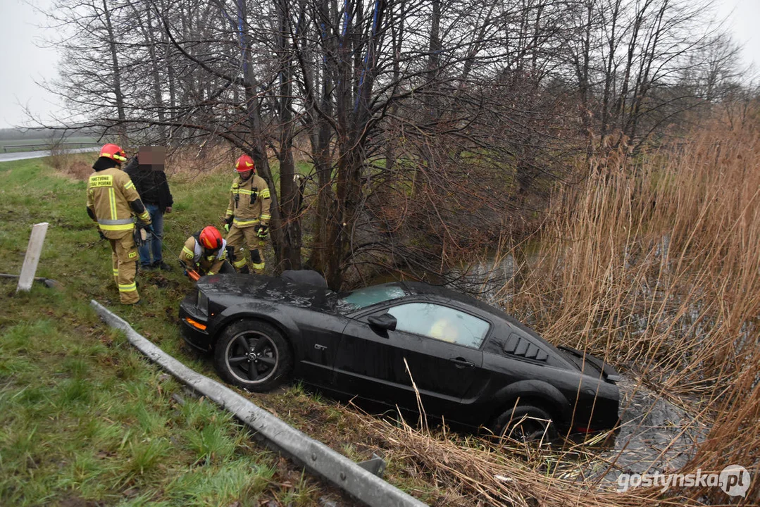 Mustang wpadł do stawu. Straż pożarna z Gostynia w akcji