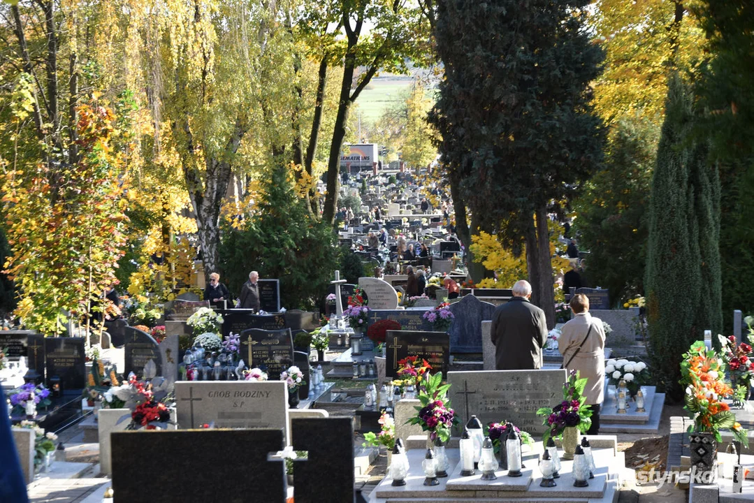 Wszystkich Świętych 2023 w Gostyniu. Znicze i kwiaty na nagrobkach - jak wyglądają cmentarze