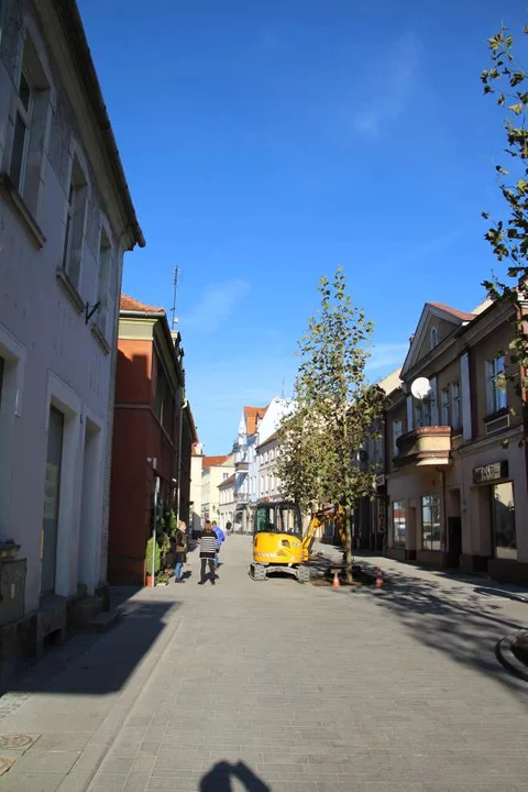 Nasadzenie zieleni w centrum Jarocina