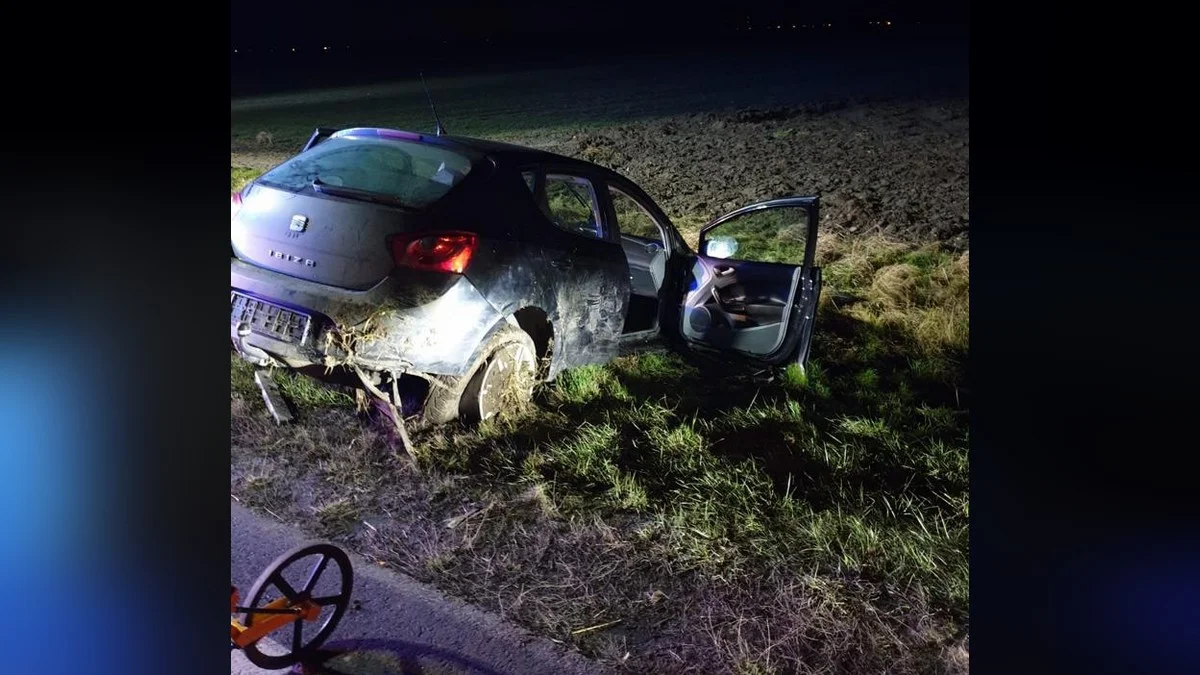 Auto w rowie i dwóch nietrzeźwych mężczyzn. Żaden nie przyznawał się do kierowania [ZDJĘCIA] - Zdjęcie główne