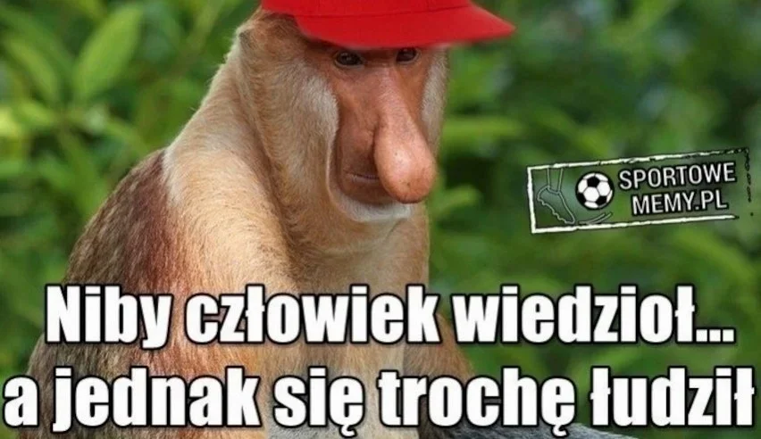 Memy po meczu Mołdawia - Polska