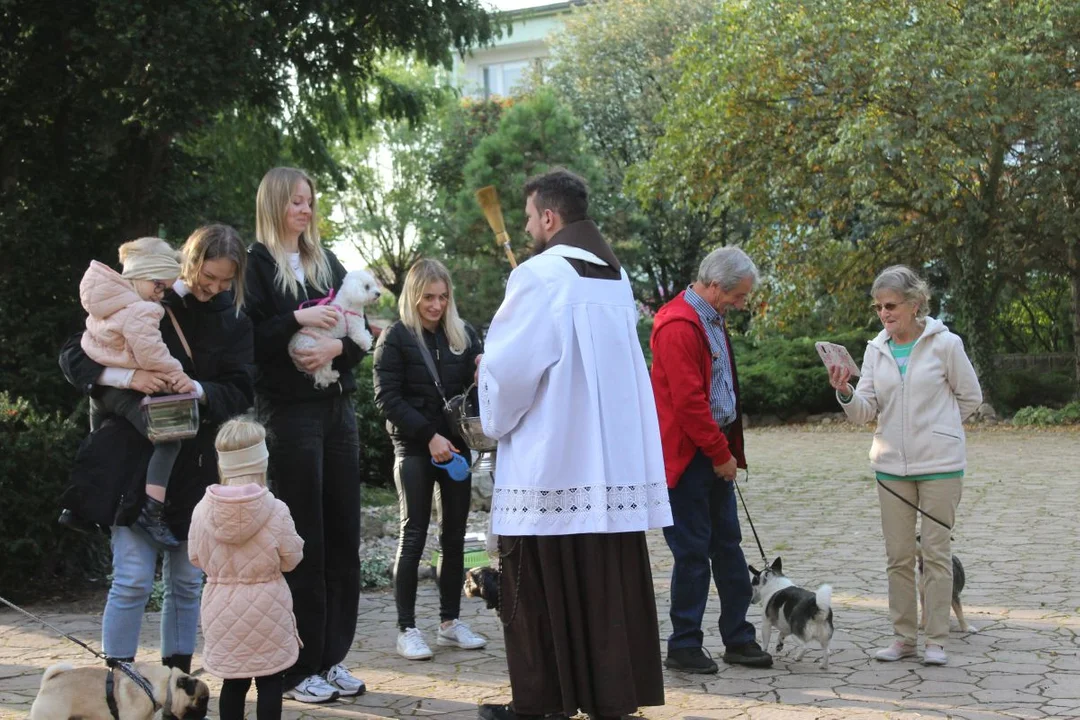 U franciszkanów w Jarocinie z okazji odpustu błogosławiono zwierzęta