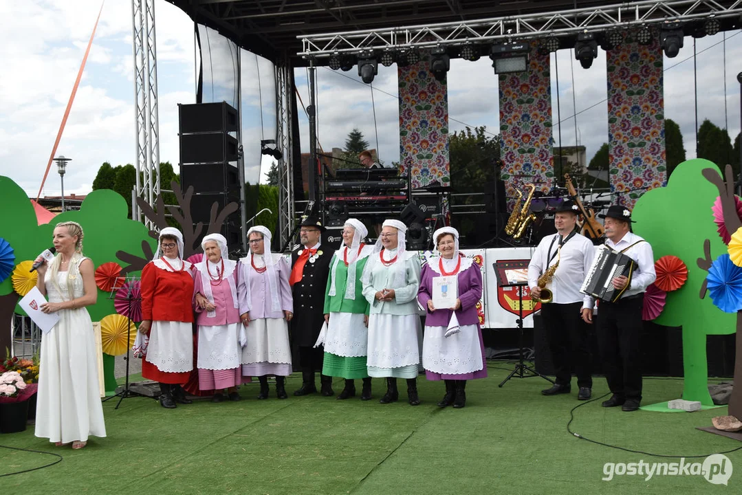 18. Prezentacje Zespołów Ludowych Wielkopolski w Borku Wlkp.