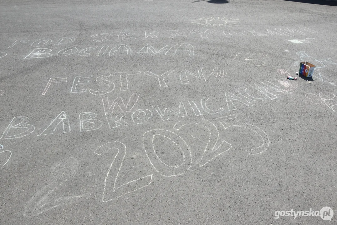 Festyn "Pod skrzydłami bociana" w Babkowicach