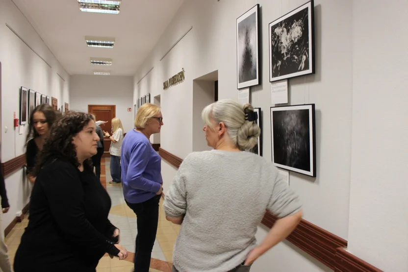 Otwarcie wystawy „Rok 2022 w obiektywach polskich fotografek” w pleszewskim ratuszu