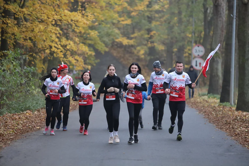 Ponad 300 uczestników aktywnie uczciło Święto Niepodległości. Gostyński Bieg Niepodległości [ZDJĘCIA] - Zdjęcie główne