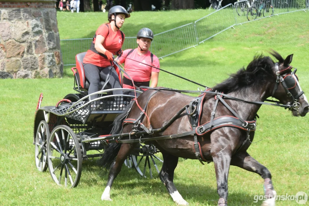 Rokosowo Horse Show 2024 - dzień pierwszy