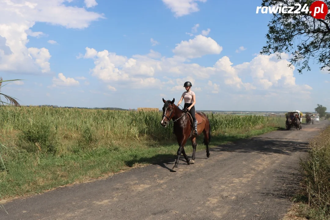 Rajd Konny Śladami Rodziny Czartoryskich