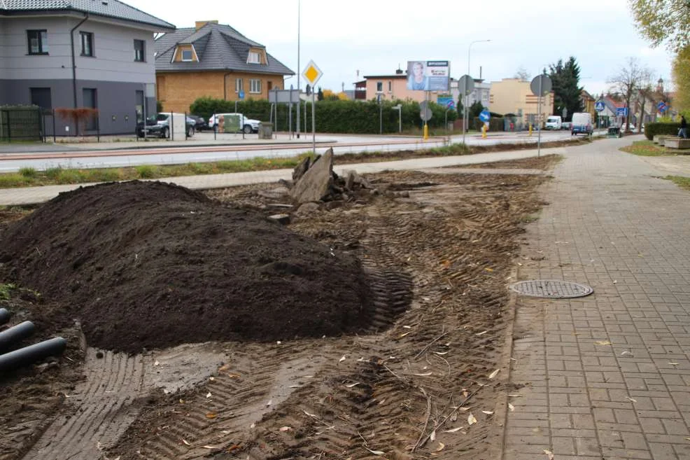 Nasadzenia na ul. św. Ducha w Jarocinie