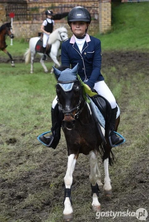 Rokosowo Horse Show - dzień drugi