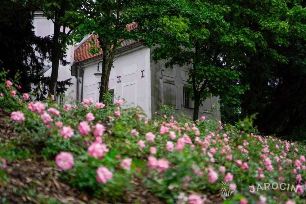 Nagroda Towarzystwa Urbanistów Polskich dla gminy Jarocin