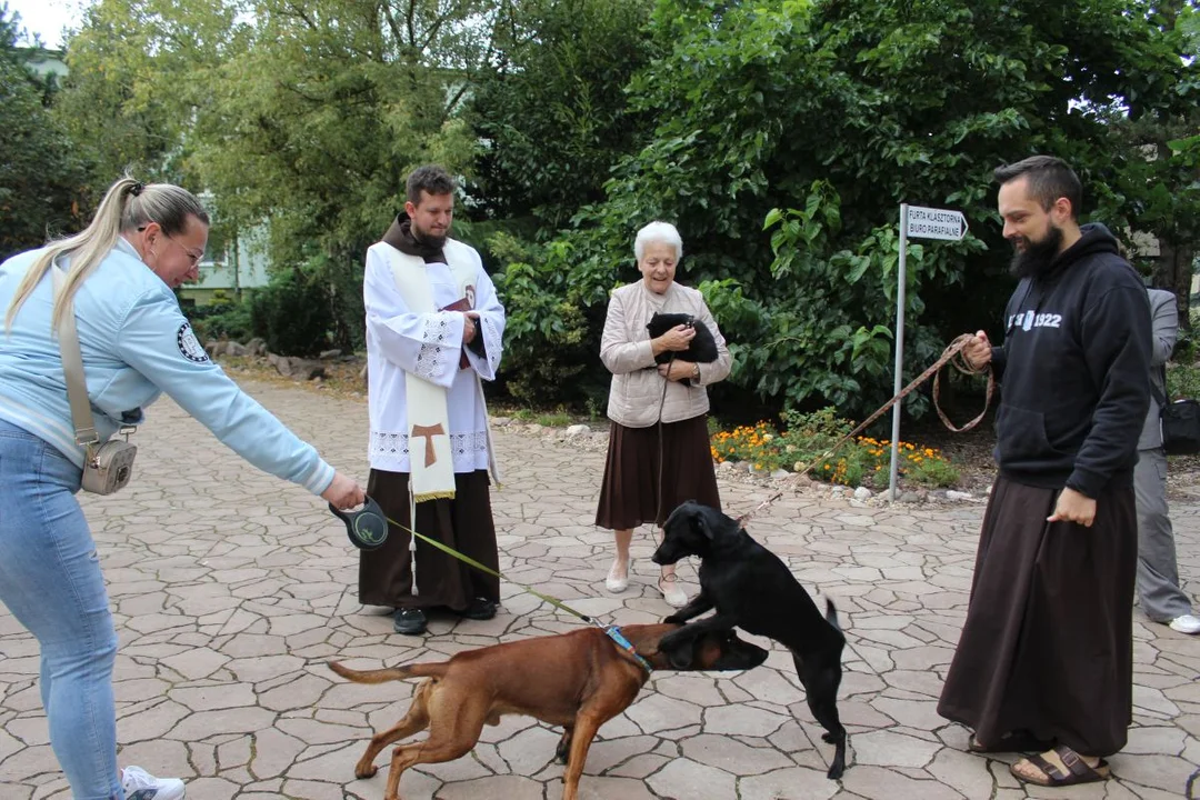 U franciszkanów w Jarocinie z okazji odpustu błogosławiono zwierzęta