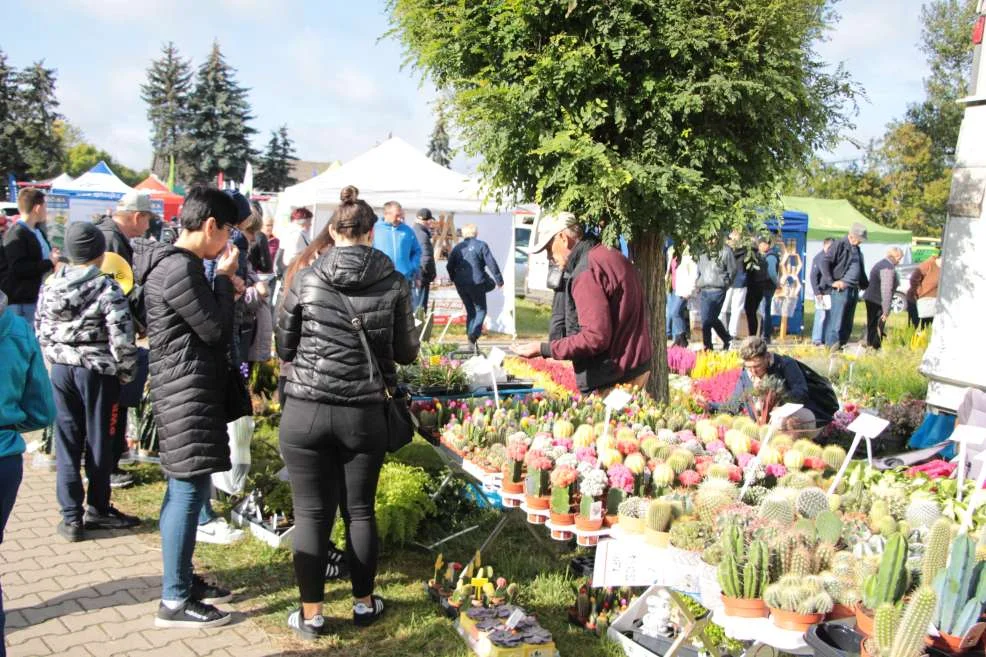 Wyróżnienie dla KGW w Witaszyczkach na targach w Marszewie