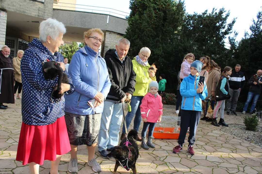 Franciszkanie w Jarocinie. Odpust św. Franciszka z Asyżu