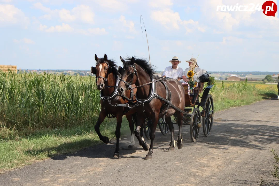 Rajd Konny Śladami Rodziny Czartoryskich