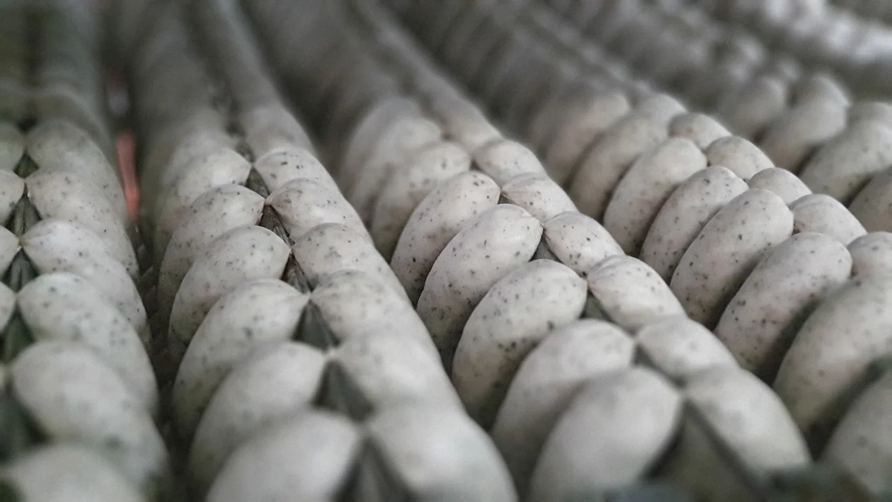 „Biegun – Rodzina wyjątkowych wędlin”