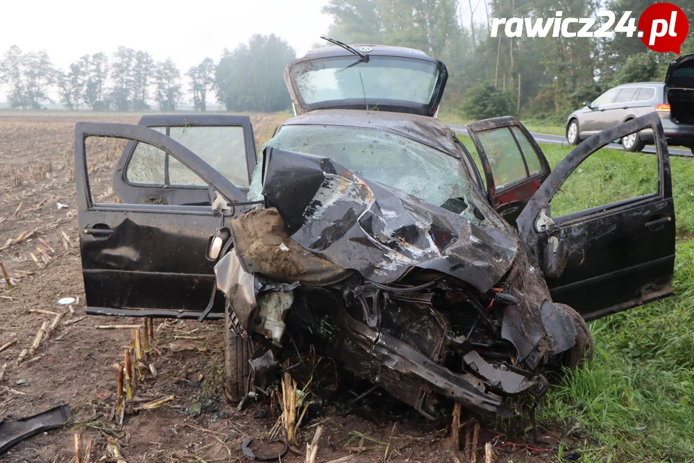 Uderzył w drzewo na trasie Annopol - Jagodnia