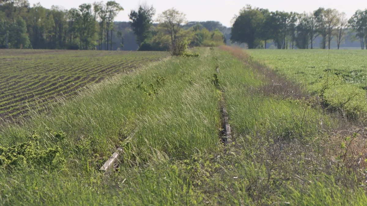 Linia kolejowa nr 372 Bojanowo - Góra (stan na lato 2022r.)