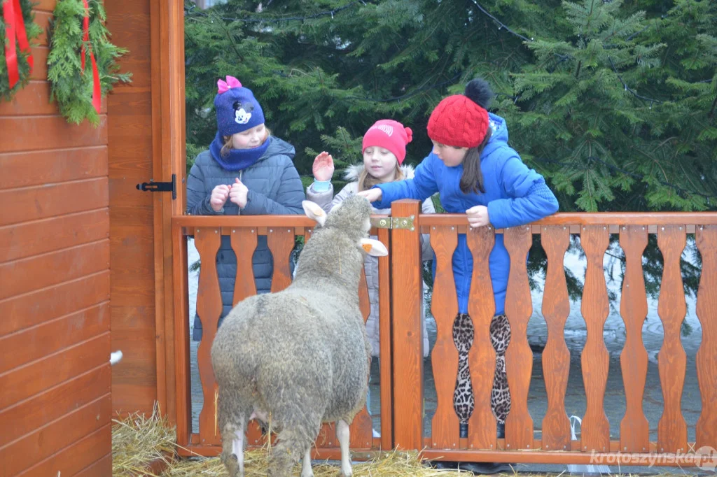 Święta na rynku w Krotoszynie