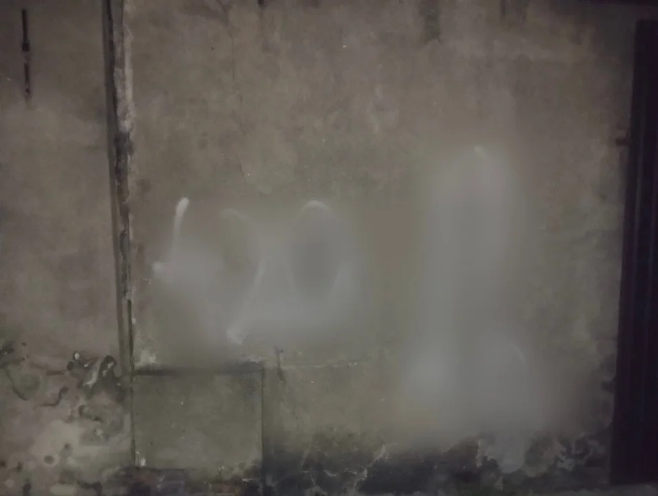 Wandale zniszczyli budynki i ogrodzenia w Poniecu