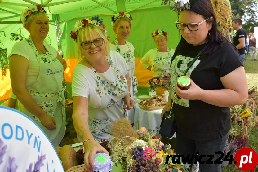 Wielkopolska Wieś Zaprasza. Przygotowali kurczaka na kilkanaście sposobów [FOTO] - Zdjęcie główne