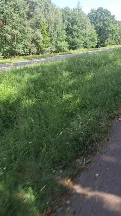 Ścieżka na trasie Gołuchów - Kościelna Wieś to tragedia! - alarmują mieszkańcy. Jest odpowiedź GDDKiA
