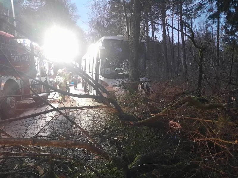 Pomocy rannemu w wypadku udzielał strażak z gminy Jutrosin