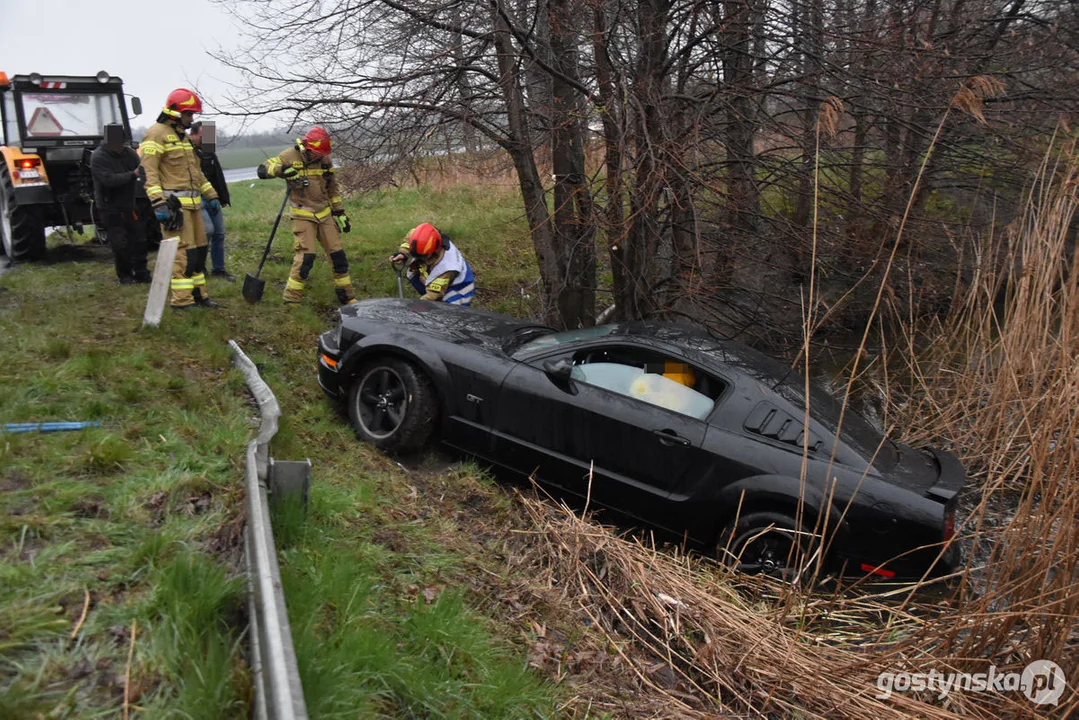 Mustang wpadł do stawu. Straż pożarna z Gostynia w akcji