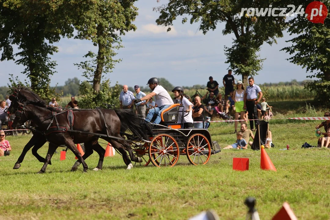 Zawody konne w Pakosławiu