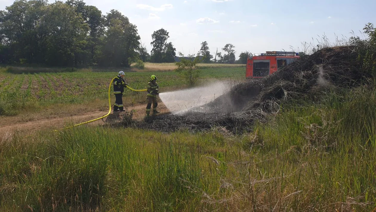 Pożar trawy w Kuźni